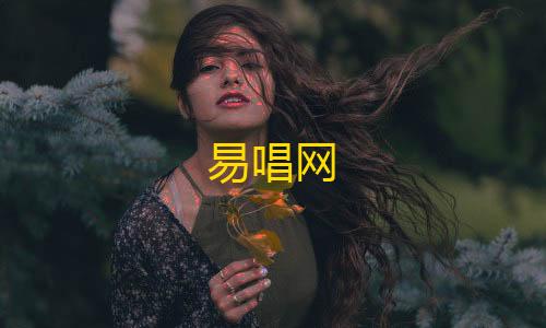 抖音涨粉业务套餐易唱网